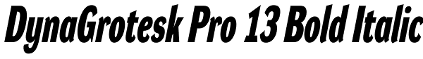 DynaGrotesk Pro 13 Bold Italic Font