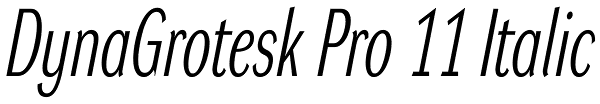 DynaGrotesk Pro 11 Italic Font