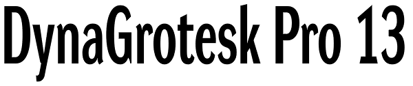 DynaGrotesk Pro 13 Font