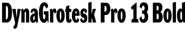 DynaGrotesk Pro 13 Bold Font