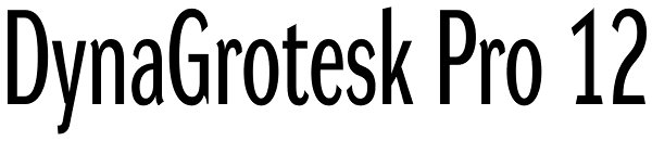 DynaGrotesk Pro 12 Font