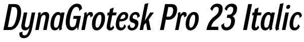 DynaGrotesk Pro 23 Italic Font