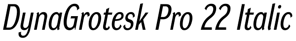 DynaGrotesk Pro 22 Italic Font