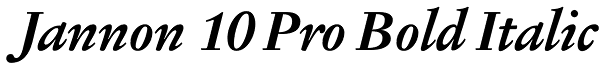 Jannon 10 Pro Bold Italic Font