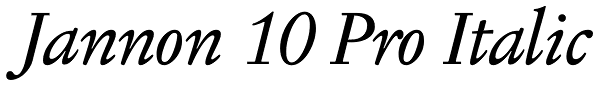 Jannon 10 Pro Italic Font