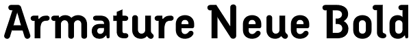 Armature Neue Bold Font