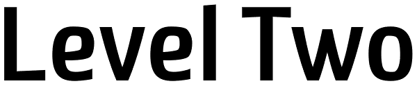 Level Two Font