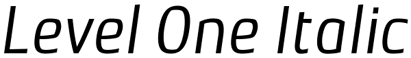 Level One Italic Font