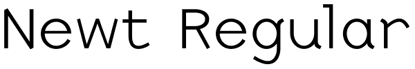 Newt Regular Font