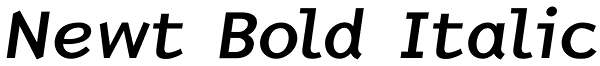 Newt Bold Italic Font