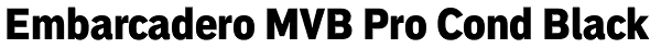 Embarcadero MVB Pro Cond Black Font