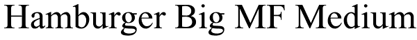 Hamburger Big MF Medium Font