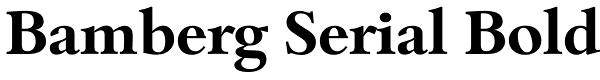 Bamberg Serial Bold Font