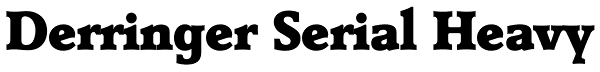 Derringer Serial Heavy Font