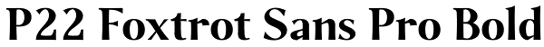 P22 Foxtrot Sans Pro Bold Font