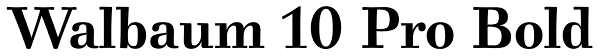 Walbaum 10 Pro Bold Font