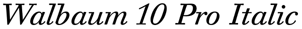 Walbaum 10 Pro Italic Font