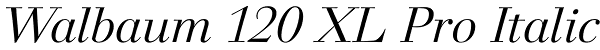 Walbaum 120 XL Pro Italic Font