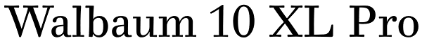 Walbaum 10 XL Pro Font