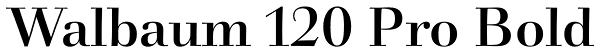 Walbaum 120 Pro Bold Font