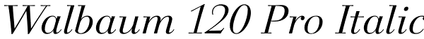 Walbaum 120 Pro Italic Font