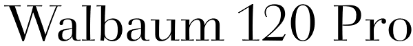 Walbaum 120 Pro Font