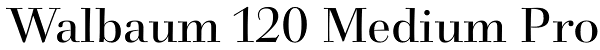 Walbaum 120 Medium Pro Font