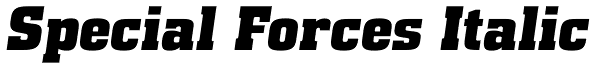 Special Forces Italic Font