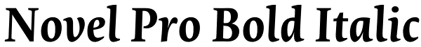 Novel Pro Bold Italic Font