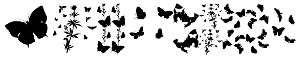 Butterfly Effect Font