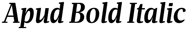 Apud Bold Italic Font