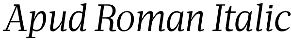 Apud Roman Italic Font