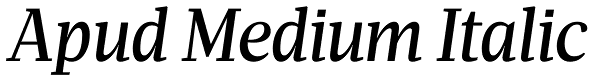 Apud Medium Italic Font