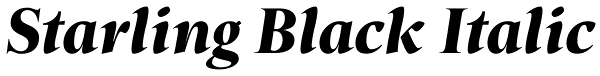 Starling Black Italic Font