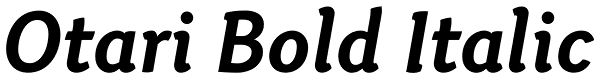 Otari Bold Italic Font