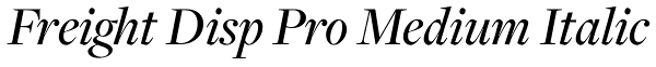 Freight Disp Pro Medium Italic Font