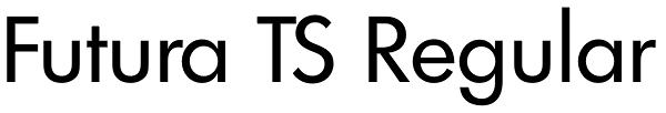 Futura TS Regular Font