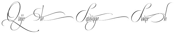 Quijote Sauvage Swash Font