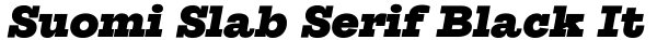 Suomi Slab Serif Black Italic Font