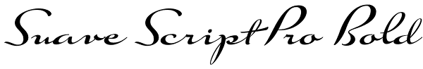 Suave Script Pro Bold Font