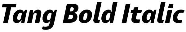 Tang Bold Italic Font