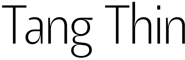 Tang Thin Font