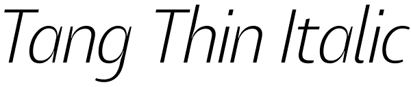 Tang Thin Italic Font