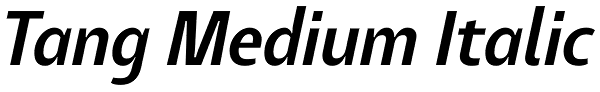Tang Medium Italic Font