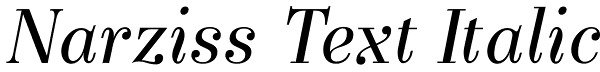 Narziss Text Italic Font