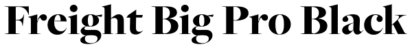 Freight Big Pro Black Font