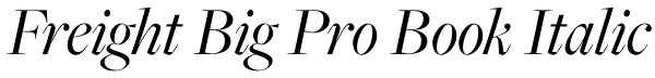 Freight Big Pro Book Italic Font