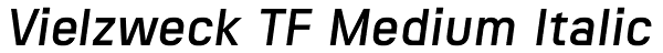 Vielzweck TF Medium Italic Font