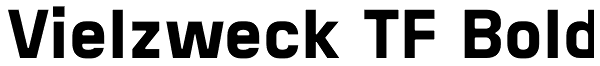 Vielzweck TF Bold Font