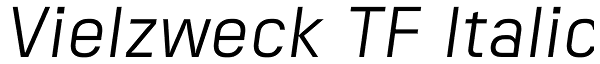 Vielzweck TF Italic Font